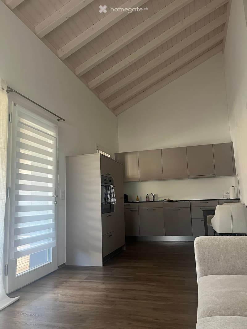 Modern, open-plan living and kitchen area with light wood flooring, grey kitchen cabinets, a white sofa, and a white chair. Features an oven, sink, and blinds on the window.