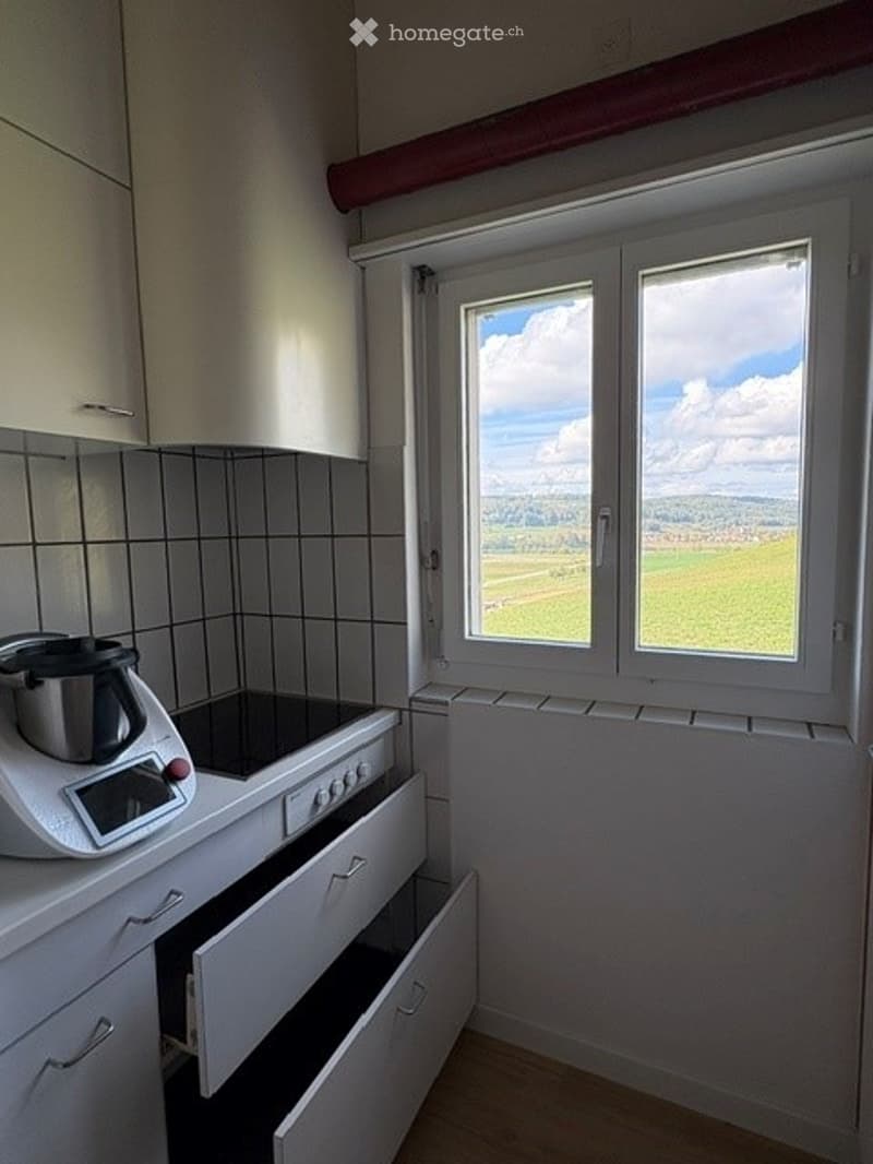 Modern kitchen with white cabinets, tiled backsplash, and a large window overlooking a green field.