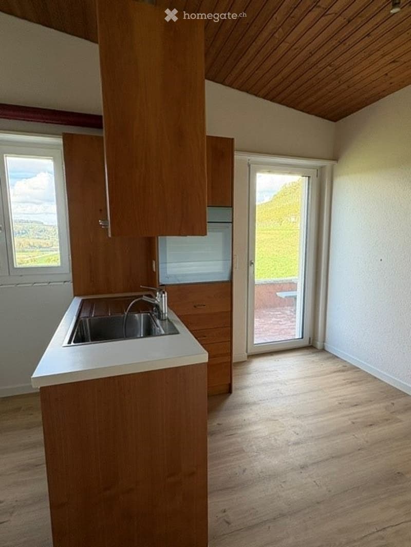 Empty kitchen with wooden cabinets, white countertop, sink, and a sliding glass door leading to a view of greenery.