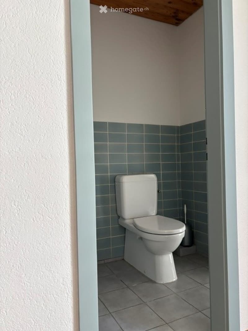 A small bathroom with a white toilet and a toilet brush in the corner, featuring blue tiled walls and a grey tiled floor.