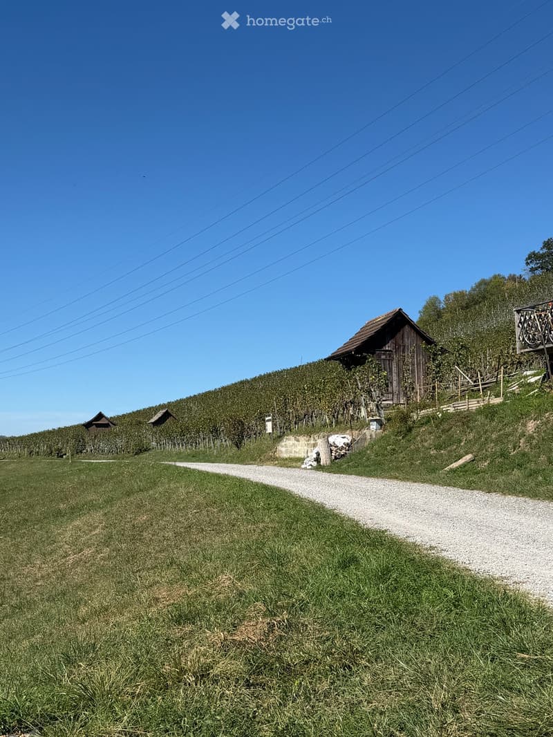 Einfamilienhaus mit Charme in Oberembrach (2)