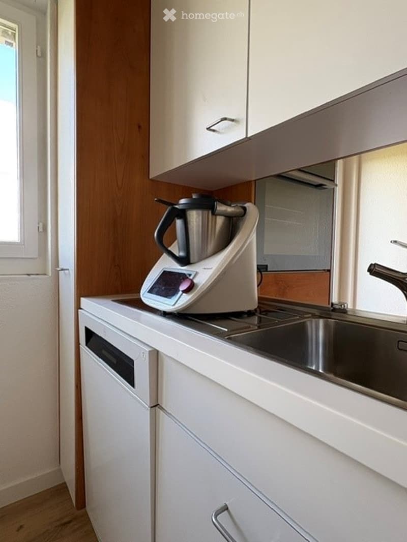 Modern kitchen with white cabinets, a stainless steel sink, a dishwasher, and a blender on the counter.