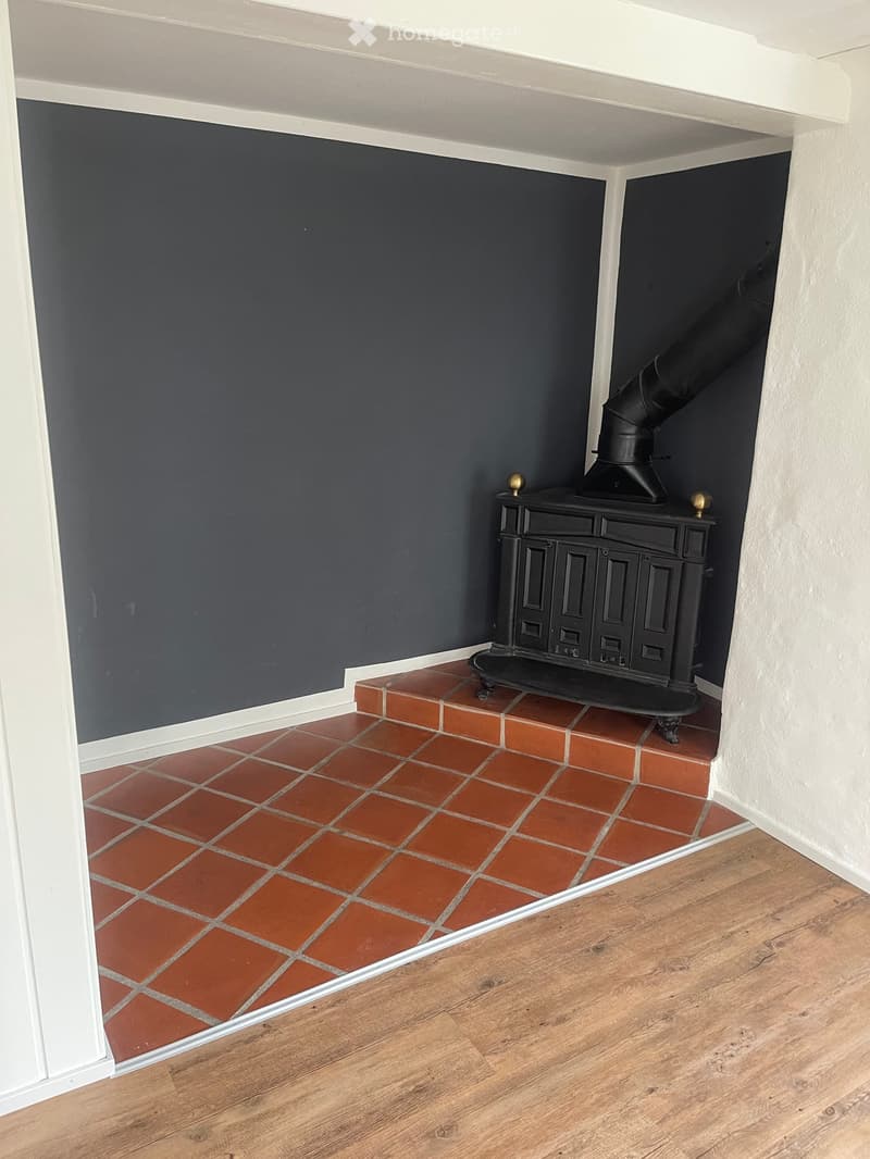 A narrow hallway with a raised platform leading to a fireplace area, featuring red tiled flooring and dark walls.