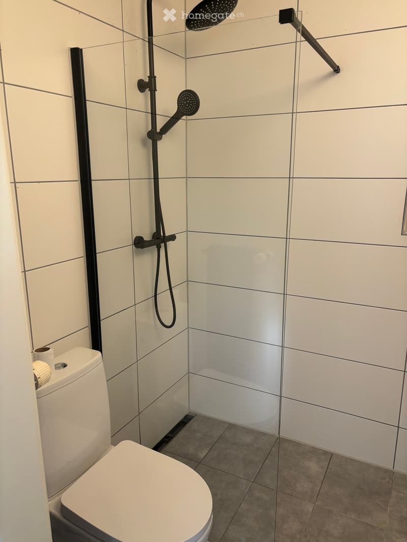 Modern bathroom with white tiled walls, a toilet, and a shower area featuring a handheld showerhead and a fixed showerhead on a rail.
