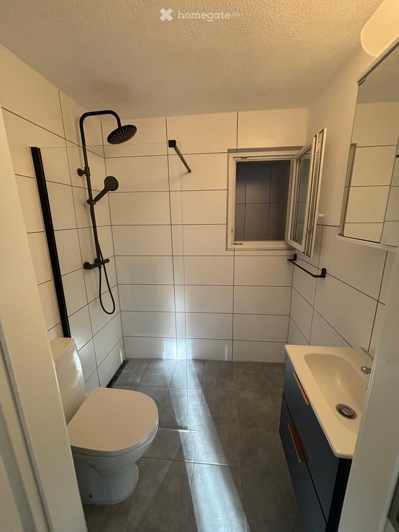Modern bathroom with white tiles, a toilet, a sink with a cabinet, and a shower with a handheld sprayer. Features a small window with a frosted glass panel.