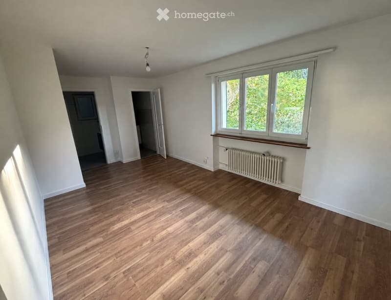 Empty room with wooden flooring, white walls, large windows, radiator, and a ceiling light fixture.