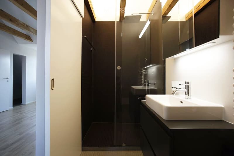 Modern bathroom with a glass-enclosed shower, two sinks, and a large mirror. The space features dark tiles and sleek, contemporary fixtures.