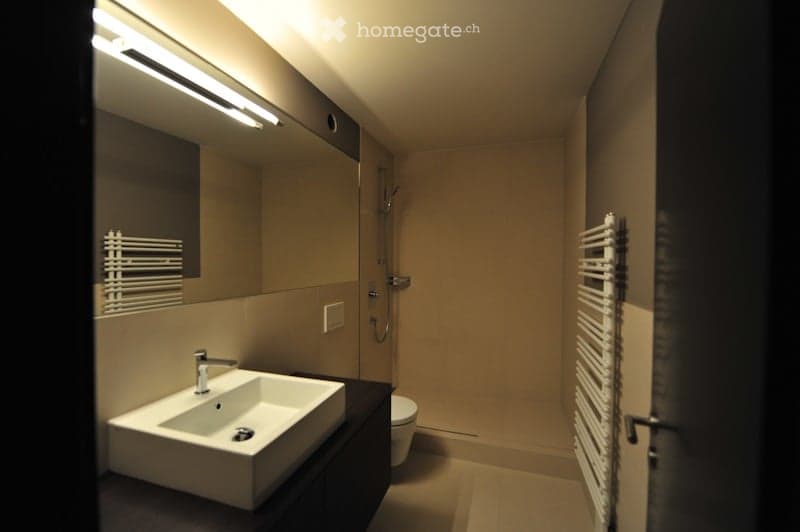Modern bathroom with a large mirror, a sink with a sleek faucet, a toilet, and a radiator on the wall.