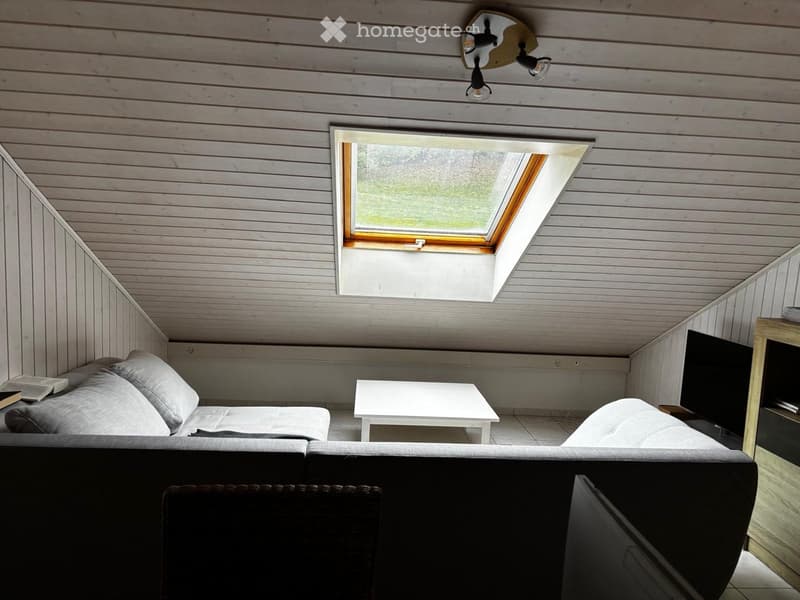 Cozy attic room with wooden walls and ceiling, skylight window, sofa, coffee table, and screen.