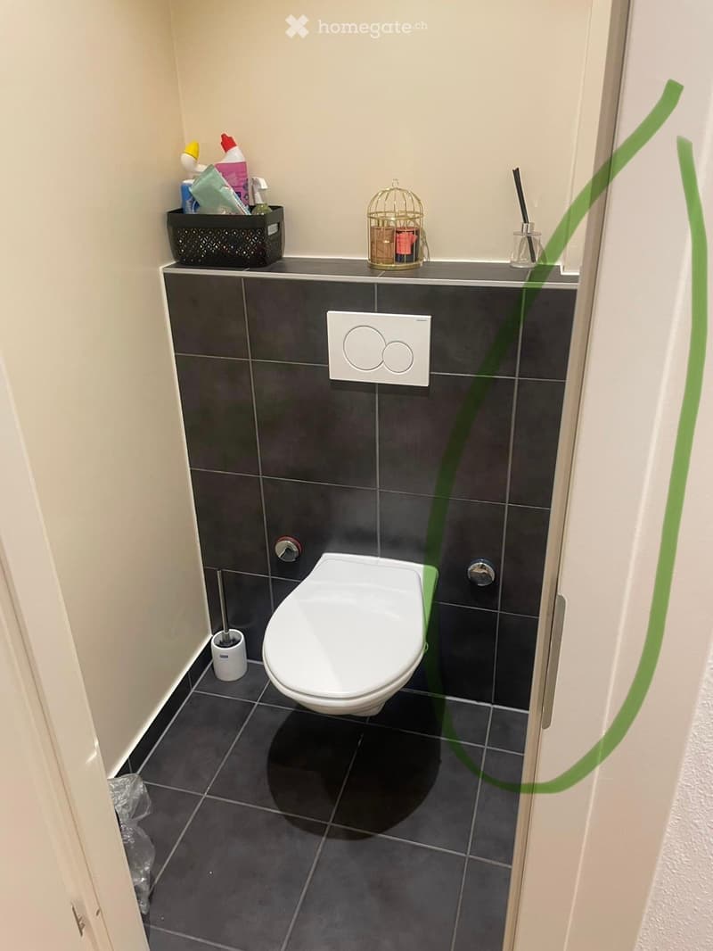 Modern bathroom with dark grey tiles, white toilet, toilet brush holder, small basket with cleaning supplies, decorative cage on the counter, and a light switch on the wall.