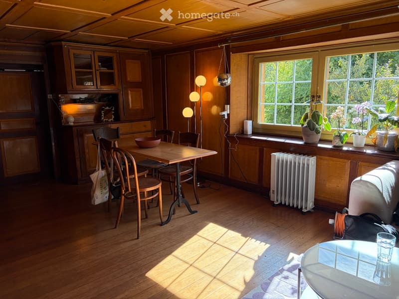 A cozy, wooden-paneled room with a dining table, chairs, a sofa, potted plants on the windowsill, a radiator, and a hanging ball lamp. The room features wooden cabinets and a glass table with a cup on it.