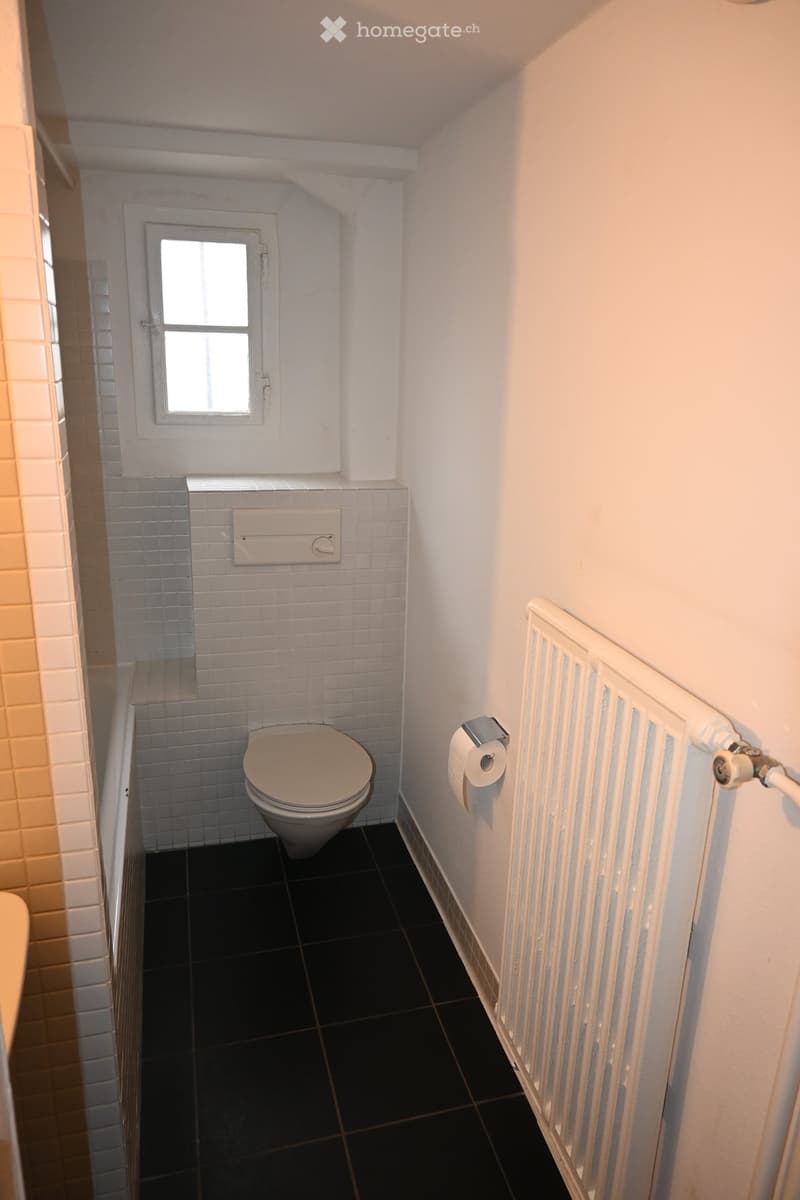 Small bathroom with white tiled walls, black tiled floor, toilet, radiator, and toilet paper holder.