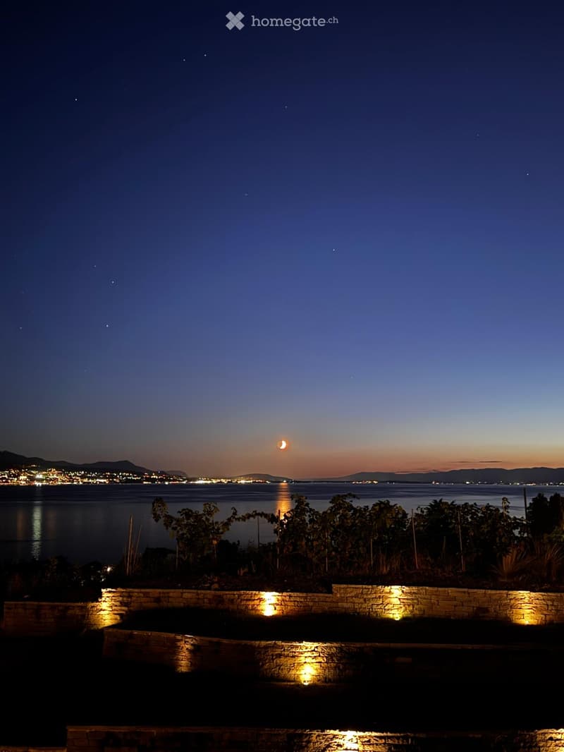 Nighttime view of a waterfront with illuminated stone steps, trees, and distant city lights across the water.