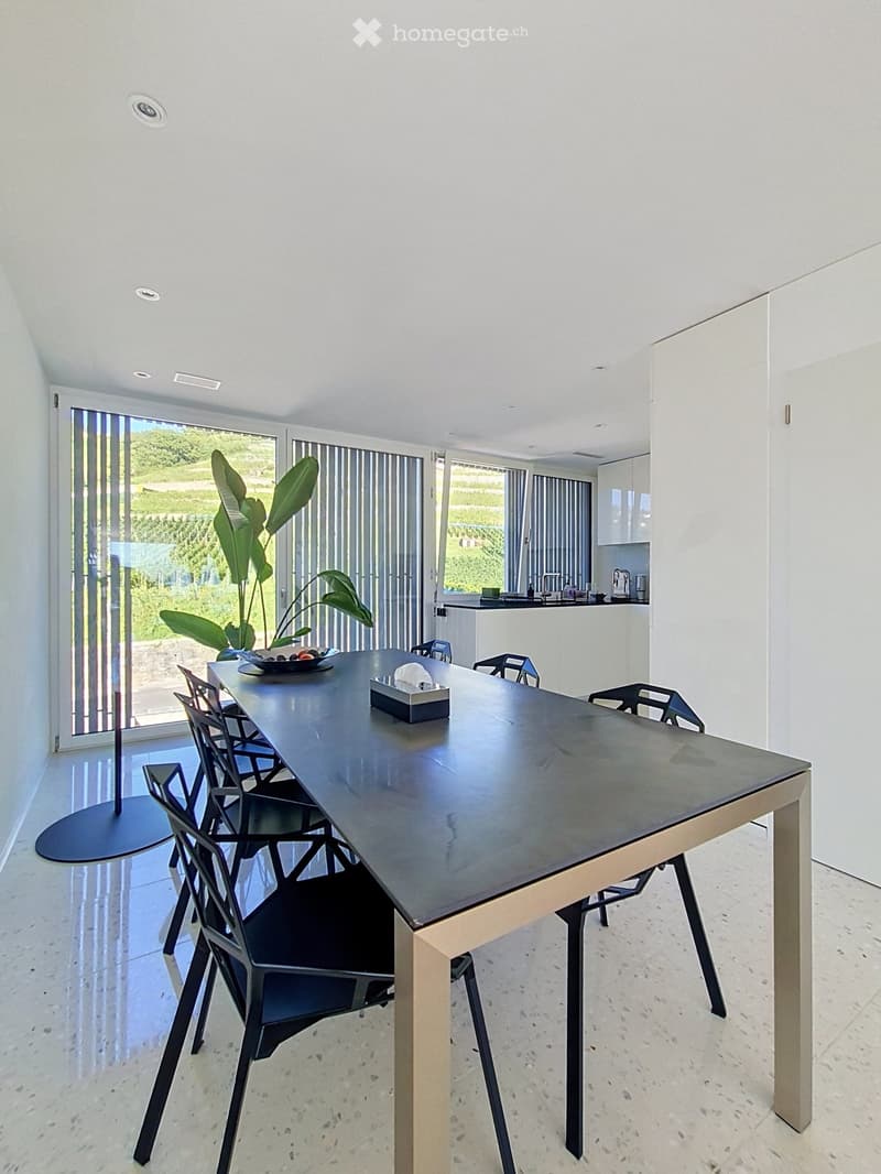 Modern dining area with a long black dining table, black chairs, a plant, and a view of the kitchen area with white cabinets and a sink.
