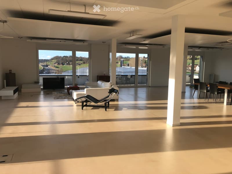 Open-plan living and dining area with large windows, modern furniture including a sofa, lounge chair, dining table, and chairs.