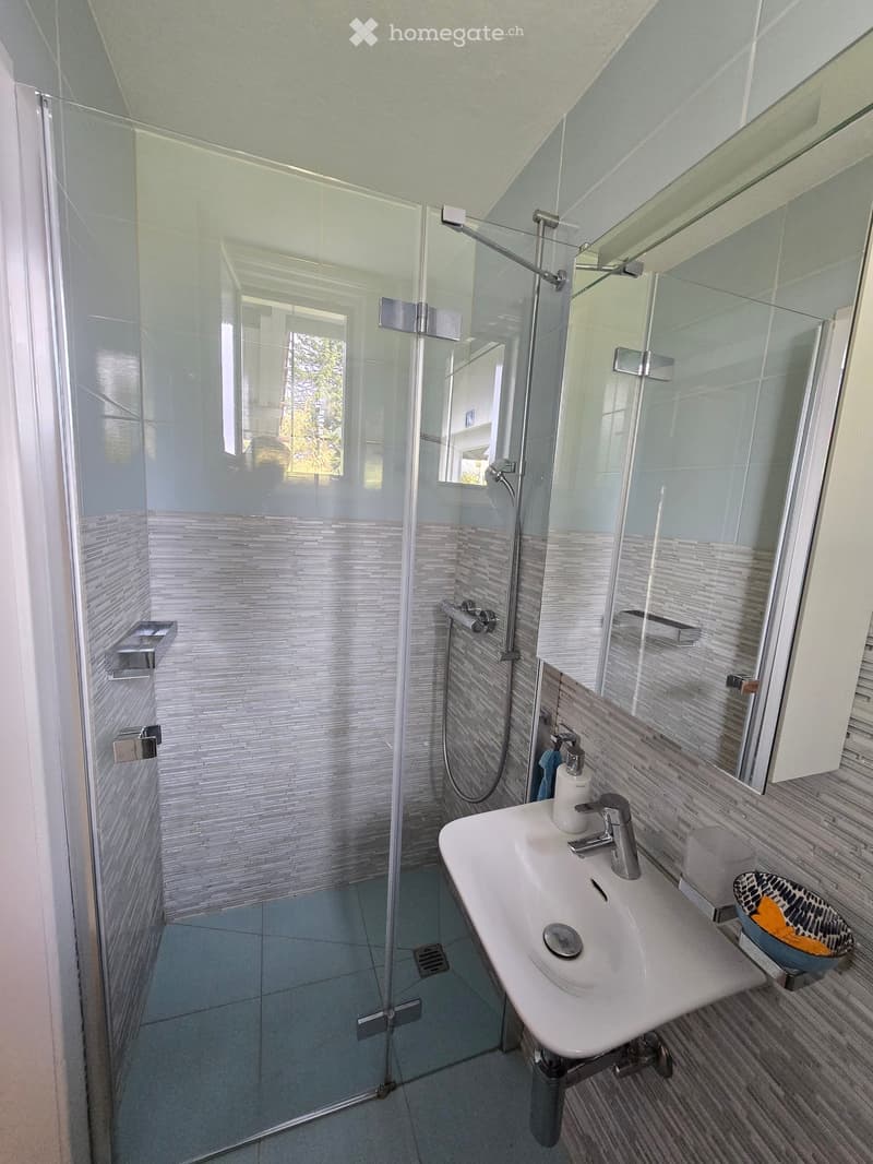 Modern bathroom with a white sink, chrome faucet, large mirror, glass-enclosed shower, and tiled walls.