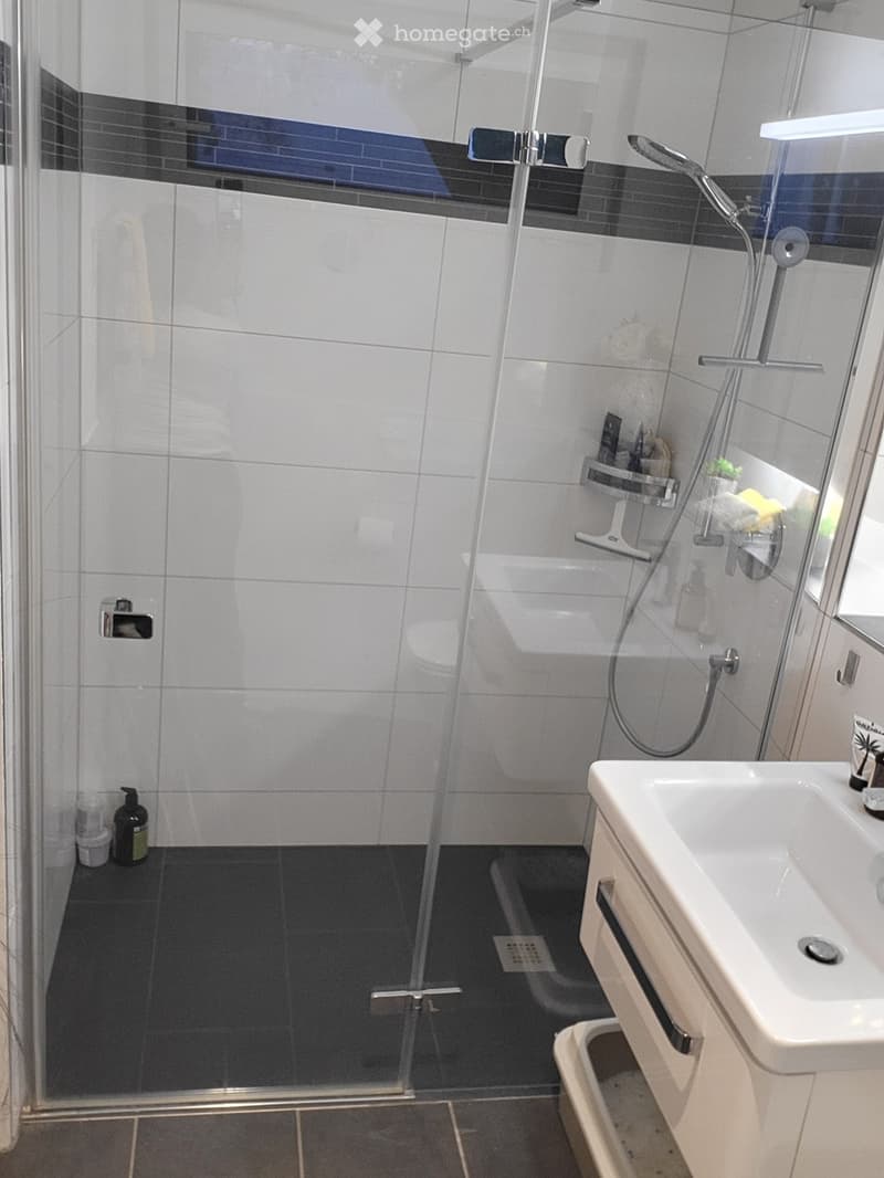 Modern bathroom with a white sink, glass-enclosed shower, and black tiled floor.