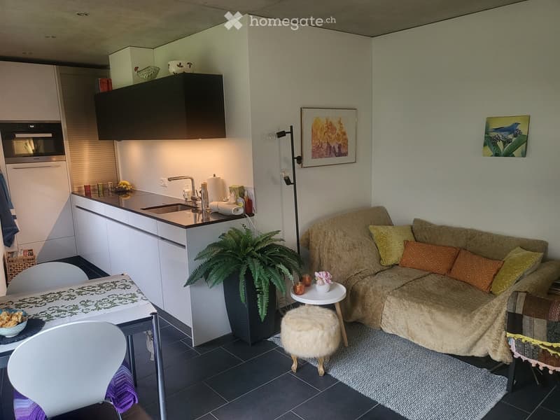 A compact, modern living space combining a living area and kitchen. Features a beige sofa with colorful pillows, a small round table with a plant, a white dining table with chairs, and a sleek kitchen area with white cabinets, a sink, and a microwave.