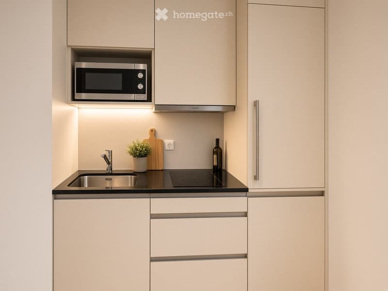 Modern kitchen with white cabinets, stainless steel microwave, induction cooktop, sink, and small potted plant on the counter.