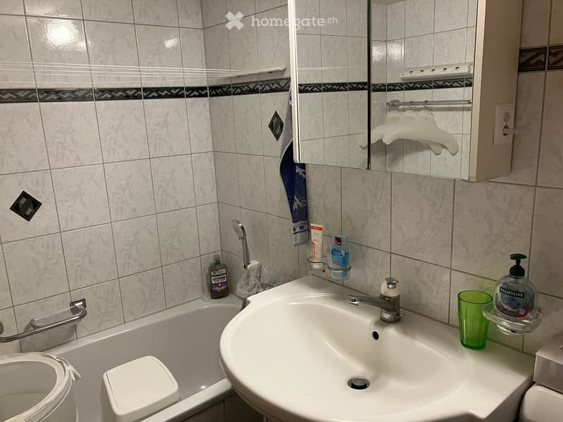 Bathroom with a white sink, mirror, toilet, and various toiletries including a soap dispenser, toothpaste, toothbrush, and a towel hanging on the side.