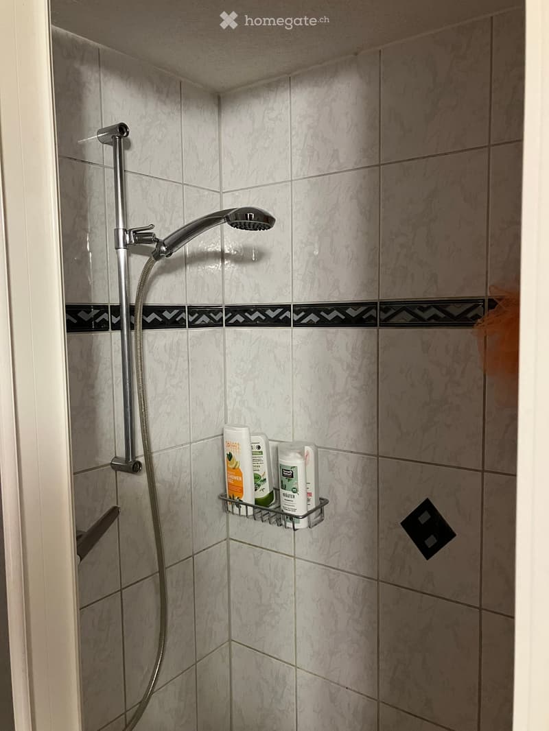 Shower area with marble tiles, a handheld showerhead on a hose, and a small metal shower rack holding several bottles of shower gel.
