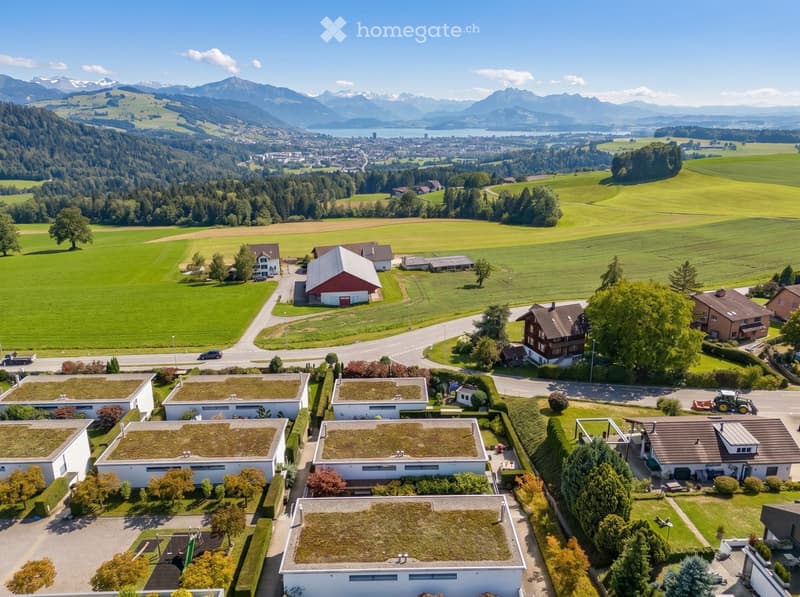 Aerial view of a rural residential area with multiple houses, green fields, and a scenic mountain backdrop.