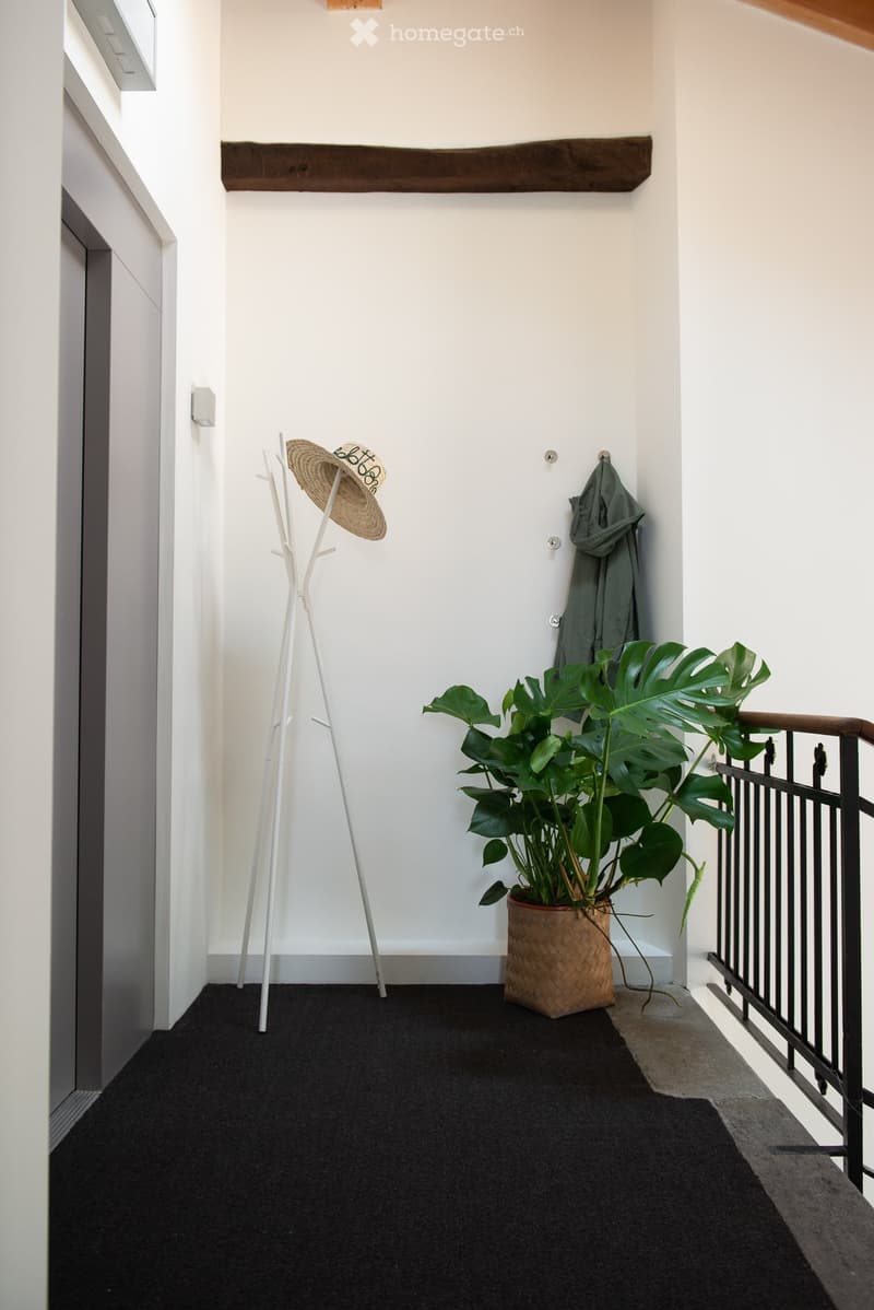 A modern hallway with white walls, black carpet, a coat rack with a hat and coat, and a large leafy plant in a woven pot near the staircase railing.