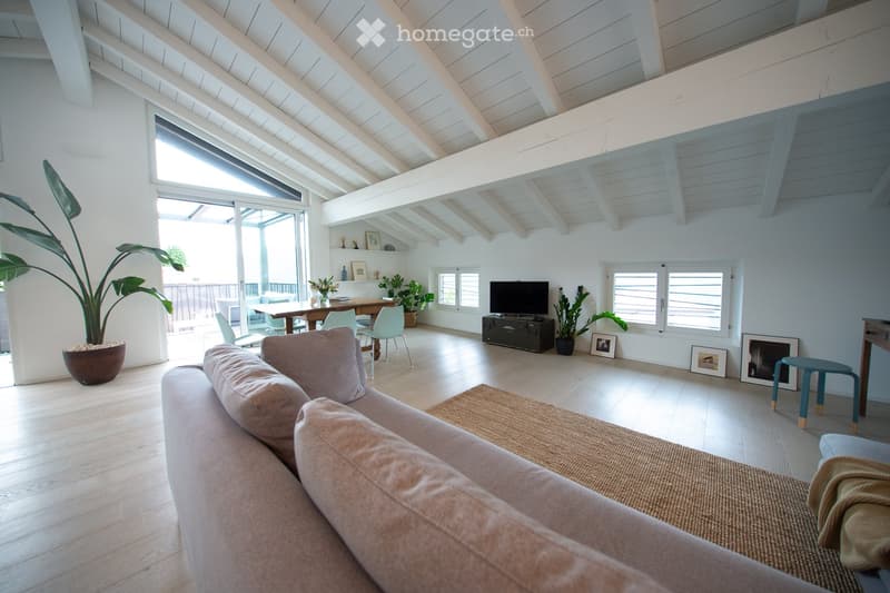 Bright living room with wooden floors, white walls, and a high, slanted ceiling. Features a light pink sofa, coffee table, dining area with chairs and table, television, and decorative plants.