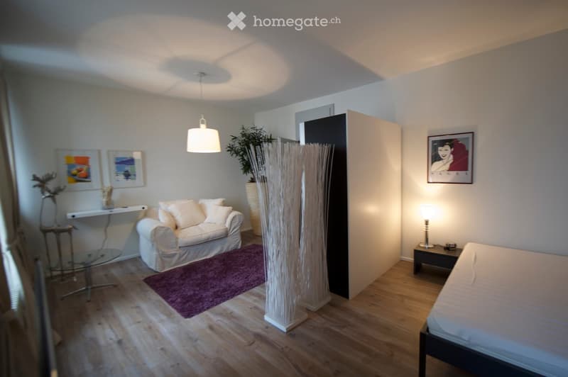 A modern, well-lit living space with a sofa, bed, glass table, and decorative items including a tall vase with a plant and framed artwork.