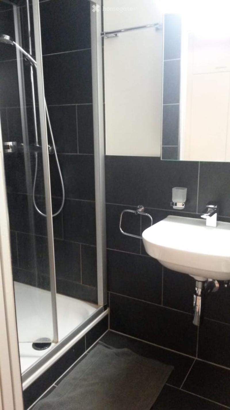 Modern bathroom with black tiles, a glass-enclosed shower, a white sink, and a mirror above it.