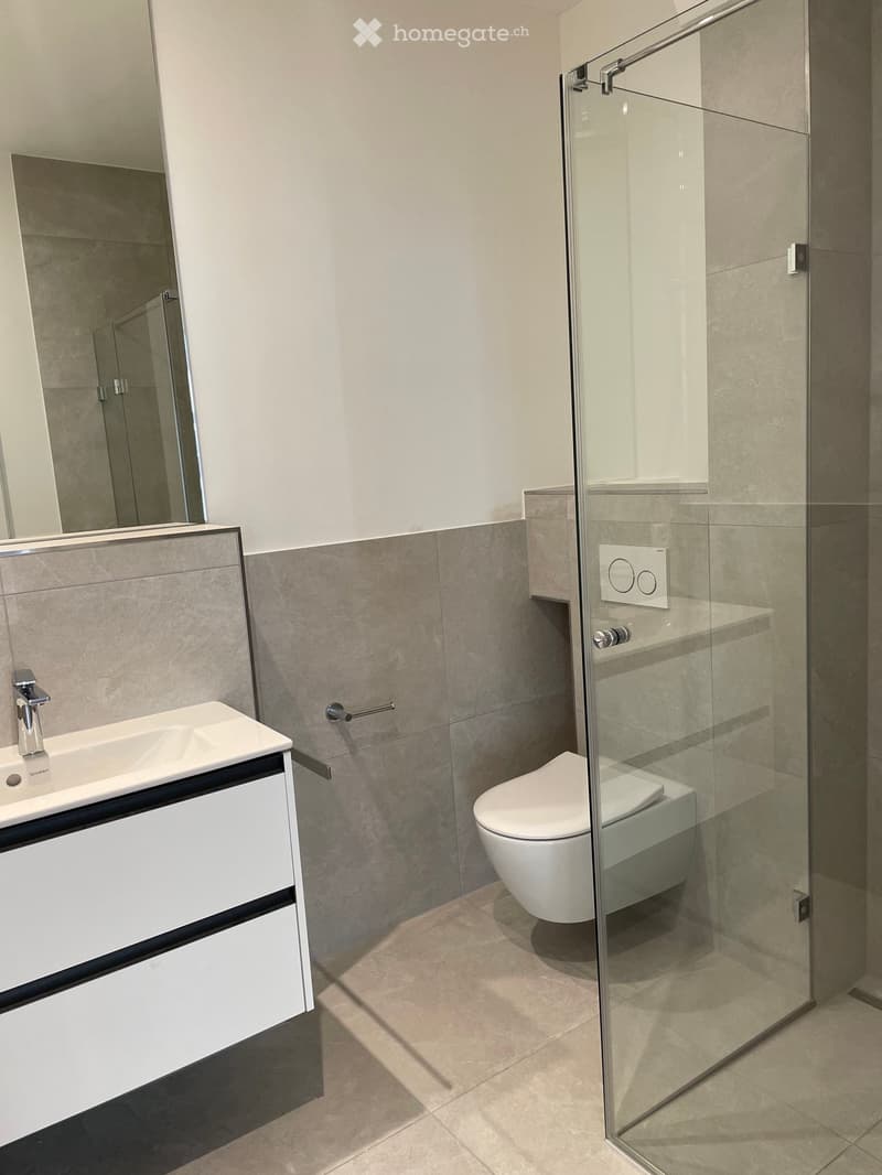 Modern bathroom with a white sink, chrome faucet, toilet, glass shower enclosure, and a large mirror above the sink.
