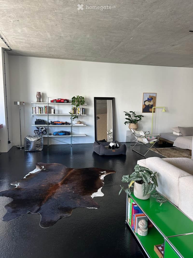 Modern living room with dark flooring, white walls, and a mix of contemporary and rustic decor including a cowhide rug, a green side table with books and a plant, a large mirror, and shelves with books and decorative items.