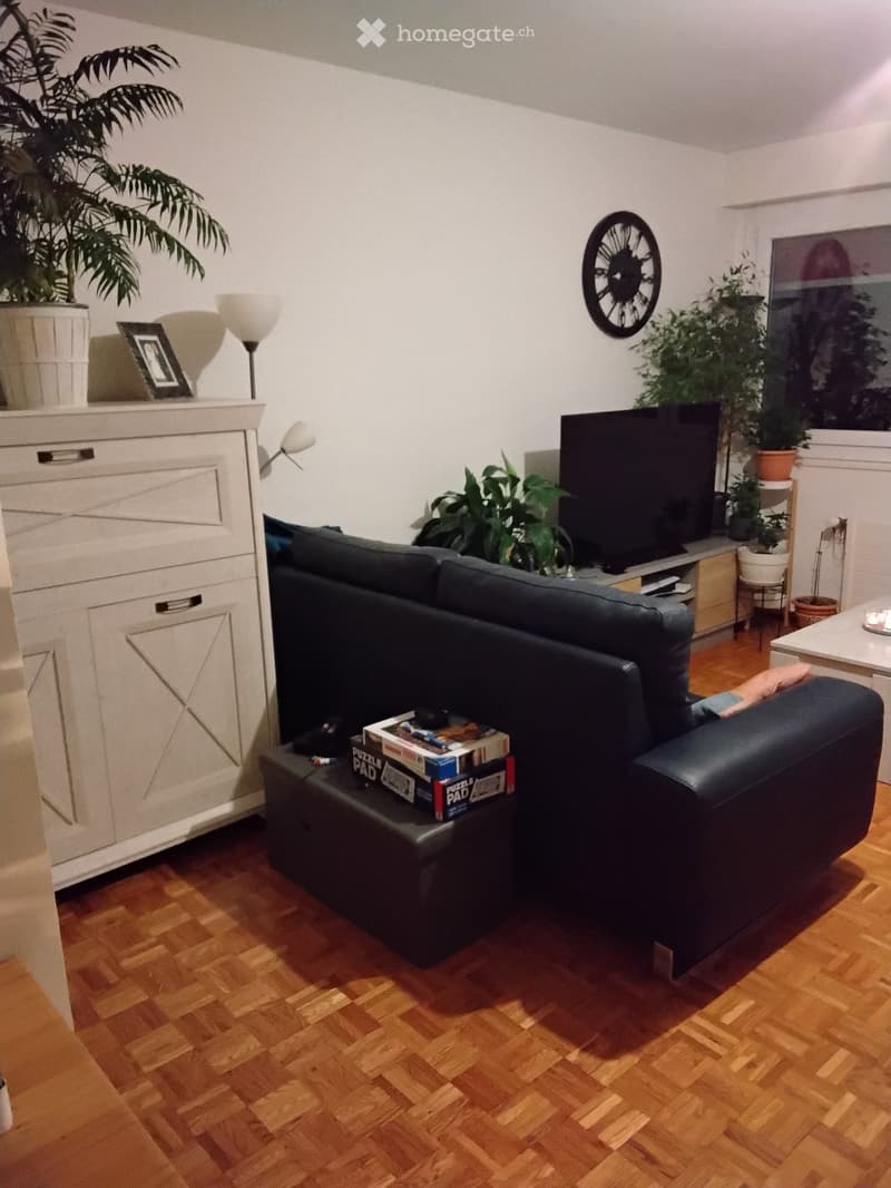 Living room with wooden flooring, a dark blue sofa, coffee table with books, a TV, and decorative plants.