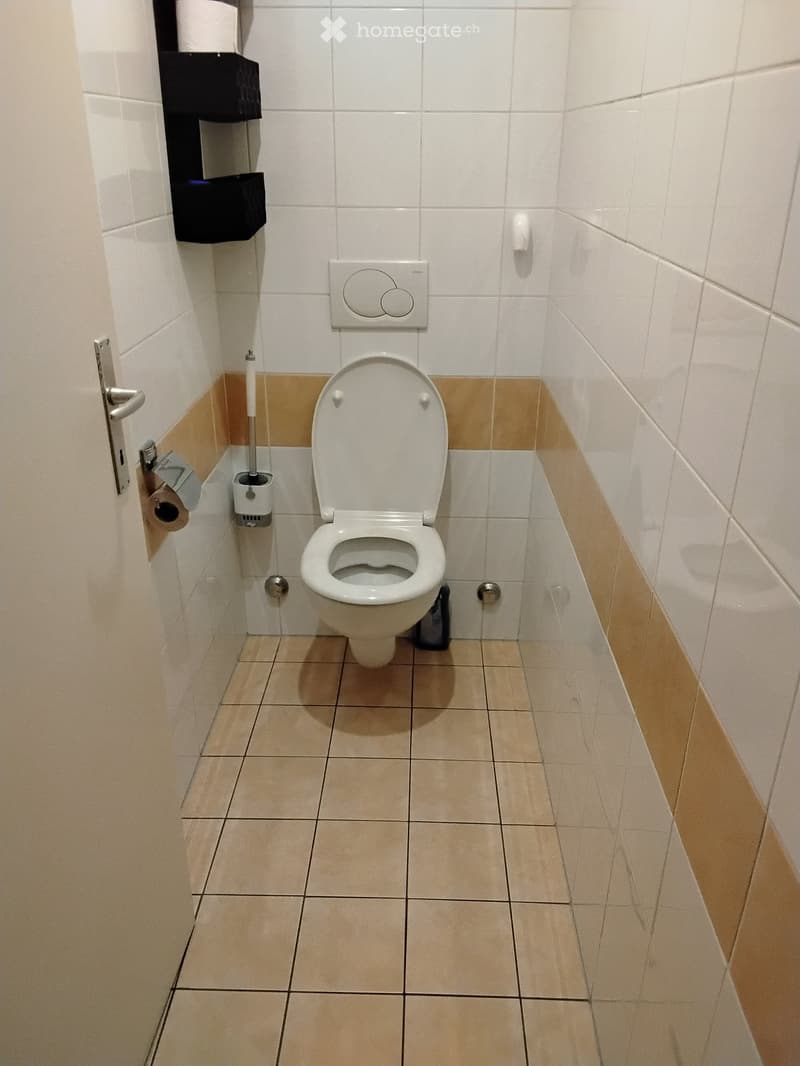 Clean bathroom with white tiled walls, beige tiled floor, toilet, toilet paper holder, toilet brush, and light switch.