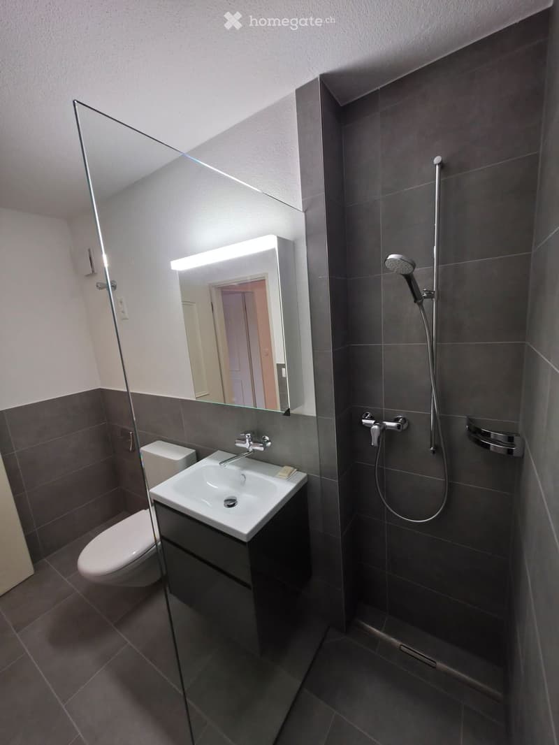 Modern bathroom with dark grey tiles, a white sink with a chrome faucet, a toilet, a large mirror with built-in lighting, and a walk-in shower with a handheld showerhead and hose.