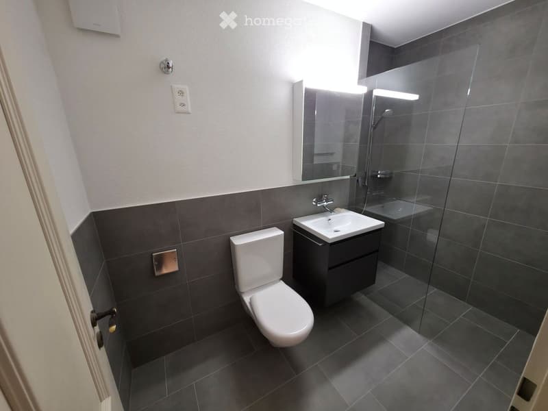 Modern bathroom with dark grey tiles, white toilet, sink with dark cabinet, and glass-enclosed shower area.
