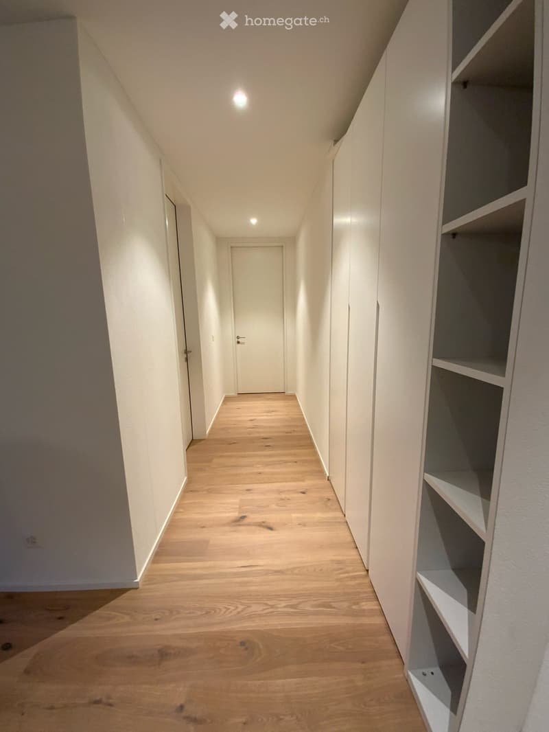 A narrow hallway with light wooden flooring, white walls, and built-in shelving units on one side. The hallway features recessed lighting and a closed door at the far end.
