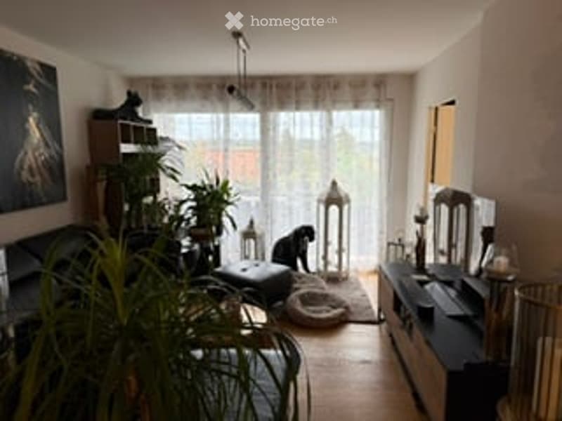 A modern living room with a large window, a sofa, coffee table, bookshelf, and a television. The room features a plant and a table lamp, creating a cozy and inviting atmosphere.