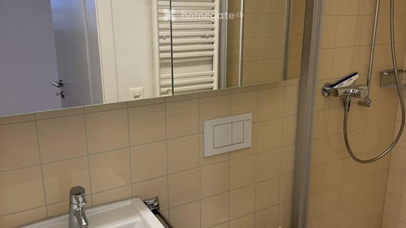 Modern bathroom with beige tiled walls, a white sink with a chrome faucet, a large mirror, and a shower area with a handheld showerhead and hose.