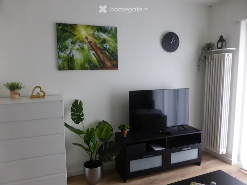 Modern living room with a large flat-screen TV on a black stand, a potted plant, a clock on the wall, and a decorative picture frame above the TV.