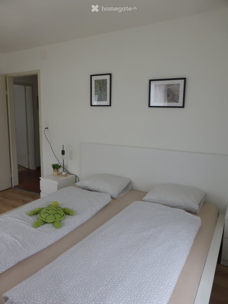 A small bedroom with two single beds, a nightstand with a lamp and plant, and framed artwork on the wall.