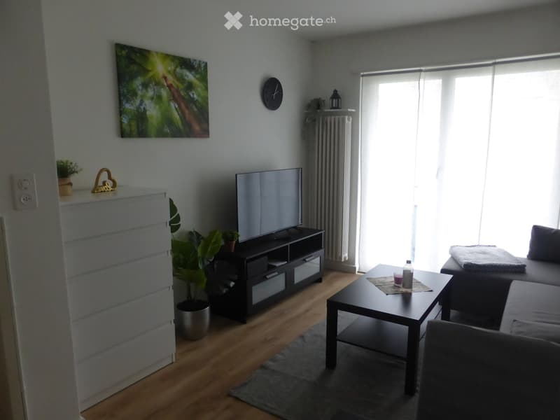 Modern living room with wooden flooring, large window with blinds, sofa, coffee table, TV stand, and decorative plants.
