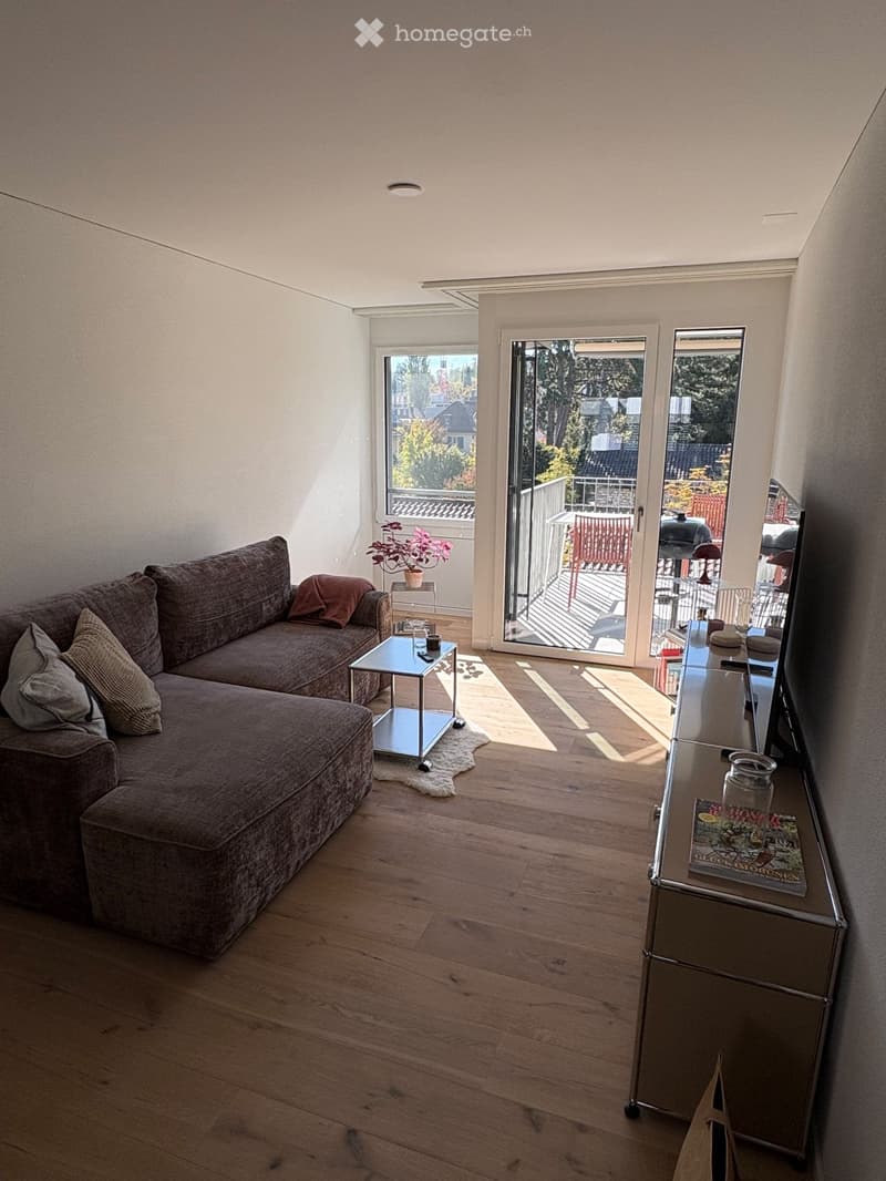 Modern living room with wooden flooring, large window, and sliding glass door leading to a balcony. Features a grey sectional sofa, coffee table, side table, and a mirror on a console table.