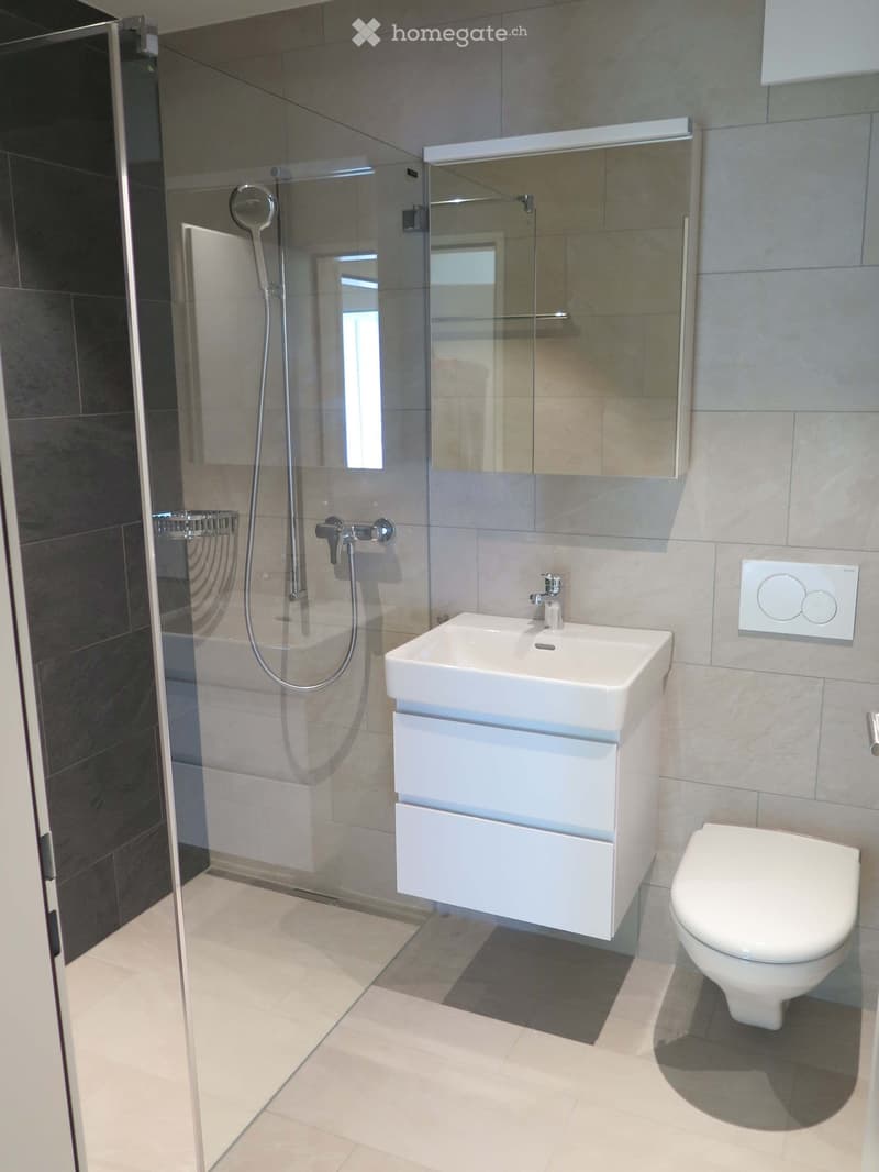 Modern bathroom with a white sink, toilet, glass-enclosed shower, and a large mirror above the sink.