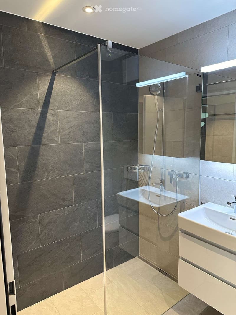 Modern bathroom with dark grey tiles, a glass-enclosed shower, a white sink with a modern faucet, and a built-in cabinet.