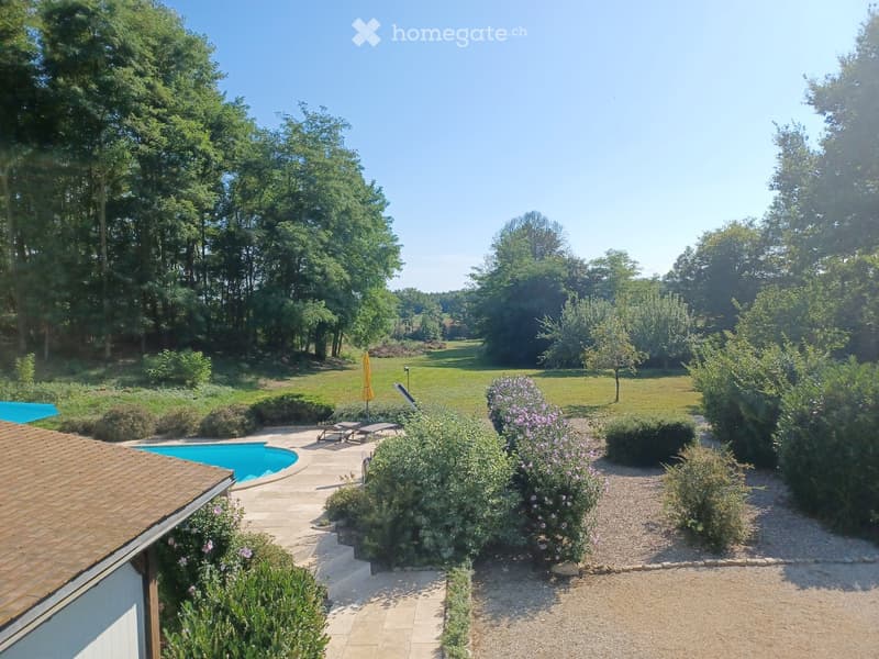 Lush garden with a swimming pool, lounge chairs, umbrella, and surrounding greenery.