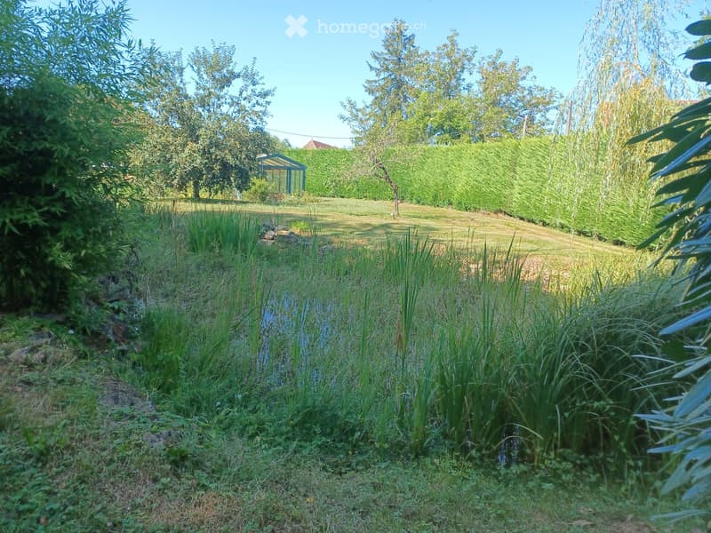 A lush garden with a small water stream, tall grasses, and a raised grassy hill in the background. The area is surrounded by trees and shrubs, creating a serene and natural setting.