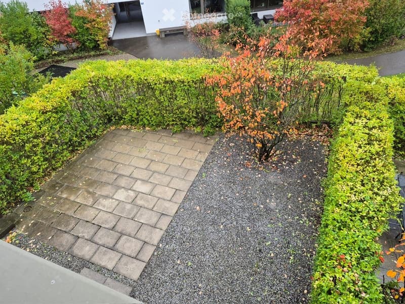 Well-maintained garden with neatly trimmed hedges, gravel pathway, and small tree with autumn foliage. The area is bordered by a paved walkway and a concrete edge.