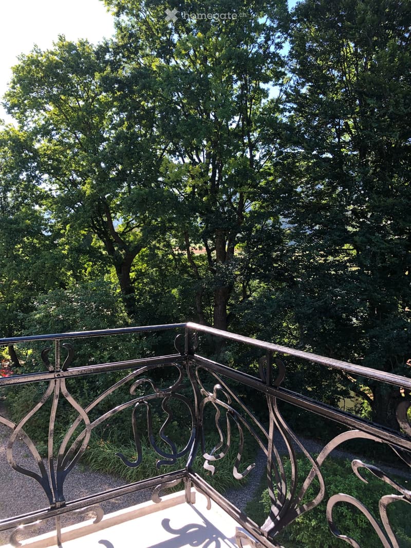 3 ½ pièces dans une maison de Maître – Un lieu de vie plein de charme et de verdure (25)