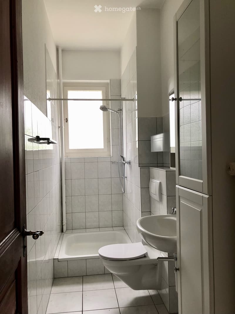 3 ½ pièces dans une maison de Maître – Un lieu de vie plein de charme et de verdure (22)